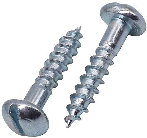 SKIR'CO (200 pièces) Vis à Bois Acier Zingué 4.0 x 20 mm, Vis à Bois Tête Ronde Fendue, Vis DIN 96