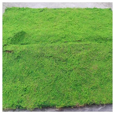 ALFAAL Moos Künstlich Simulationspflanze Moosbewachsener Rasen Plattenmoos für Garten Einkaufszentrum Aufzug Fenster Dekoration Moosmatte (Color : B, Size : 100x100cm/39.37x39.37in)