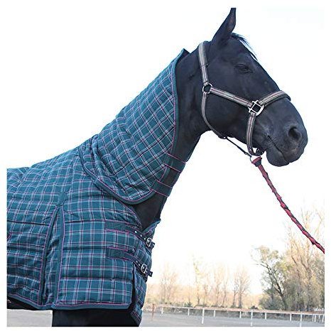 Maju Pferdedecken Wasserdichter Und Atmungsaktiver Winter Gepolsterter Baumwollpferd Mit Combo-Ausschnitt(Size:165cm)