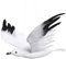 jojofuny Hängende Fliegender Vogel Möwe Deko Schaumstoff Weißer Vogelschmuck Taubenschreck für Hochzeit Garten Kinderzimmer Möwe