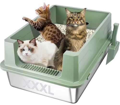 Homegroove XXXL Katzenklo Edelstahl, 70x50x30 cm Großes Katzenklo, Auslaufsichere Metall Katzentoilette für Große Katzen & Mehrkatzenhaushalte, Geruchsneutral & Einfach zu Reinigen (Grün)