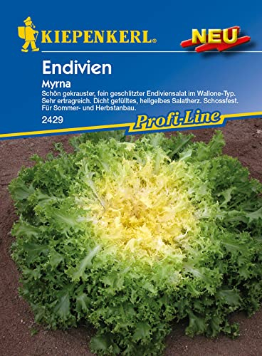 Kiepenkerl Profi-Line Endiviensamen Myrna 2429 - schön gekrauster, fein geschlitzter Endiviensalat - sehr ertragreich - Salatsamen, Saatgut