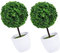 HOMSFOU 2 Piezas De Árboles De Adornos De Madera Pequeños para Decoraciones De Pino De Forma Rústica Porche Maceta Realista Decoración De Mesa Arbusto Verde En Macetas
