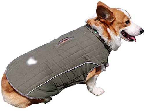Winter Jacken Hundemantel Hundepullover Haustier Skifahren Hunde Kostüm Winterjacke Weste Mit Kapuze Abnehmbarer,Grün,XS: Chest (30-35CM)
