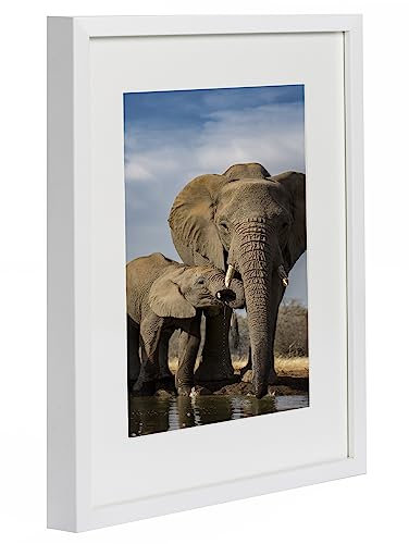 BD ART 29,7 x 42 cm (A3) Bilderrahmen mit Passepartout 21x30 cm (A4) Weiß