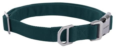Carhartt Field Hundehalsband, voll verstellbar, strapazierfähiges 600-Denier-Gewebe mit reflektierendem Schriftzug für Sichtbarkeit, Grünstein, Größe L