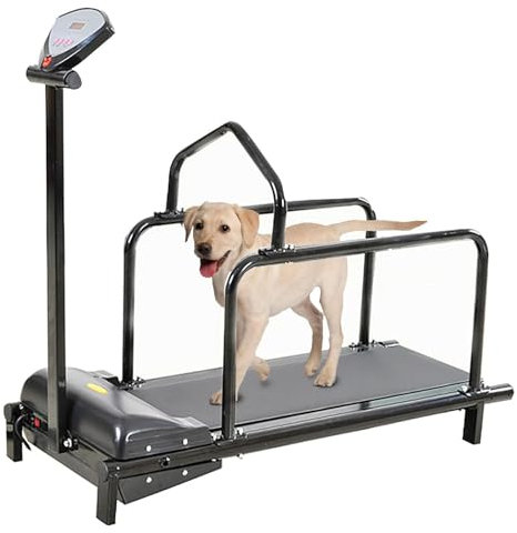 Hunde-Laufband für große, mittelgroße und kleine Hunde – Indoor-Haustier-Laufmaschine für Bewegung und Training