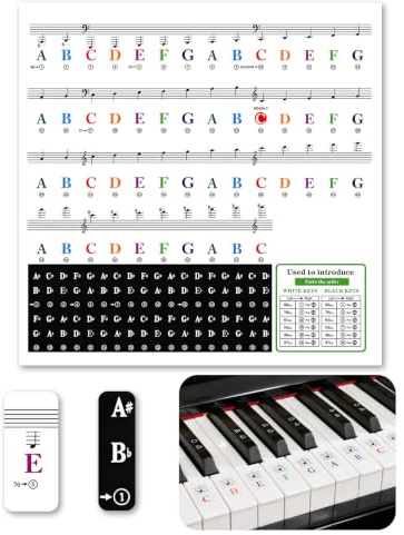 RDTOK Klavier Keyboard Aufkleber, Piano Stickers Noten für 37–88 Tasten | Weiße und Schwarze Tasten. Transparent Entfernbar, Anfänger