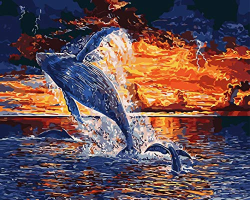 WOWDECOR Art Supplies Dolphin Animals Ocean DIY Paint by Numbers Kits 40 x 50cm with Painting Brushes Canvas (No Frame)