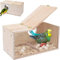 Bebochoi Vogelhaus aus Naturholz für kleine Vögel - Transparente Zuchtbox mit Standfuß für Lovebirds, Finken und mehr, 29,5 x 15 x 15 cm
