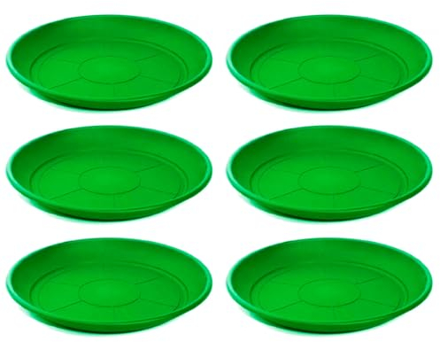 AC - Pack de 6 Platos para Maceta Mediterranea - Fabricado en Polipropileno - Ideal para el Hogar, Plantas, Jardín, Decoración. - Cuidado de Plantas - Forma Redonda - Ø 20,4 cm - Color Verde