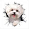 ZOUBAOQ 3D-Toiletten-Aufkleber, Motiv: rissige Tiere, Cartoon-Toilettensitz-Deckelaufkleber, niedlicher Hunde-Aufkleber, lustiger, abnehmbarer Deckel, selbstklebende Toilette