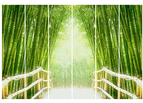 Bilderwelten Schiebegardinen Bamboo Way - 6 Flächenvorhänge Ohne Aufhängung 6X 250x60cm