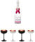 Moet Chandon Imperial Ice - ROSE - Champagner 0,75 Liter + Champagnerschale Stölzle 4 Gäser