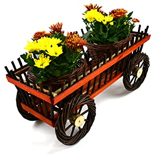 MyBer® K3-556 - Carrito para flores con 2 macetas