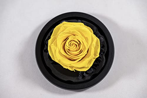 YourRoses® echte Premium Rose im Glas mit einer wunderschönen Geschenkbox | Lange Haltbarkeit & edles Geschenk als Liebesbeweis | ein Geschenk vom Herzen Gelb