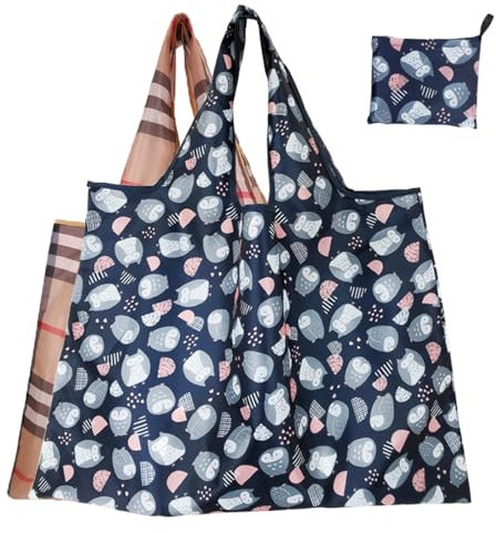 FAVORTALK Packable Reusable Shopping Bags Reusable - 2 Pcs Foldaway Washable Grocery Bags Foldable in a Pouch Lightweight Eco Shopper Tote for Women Ladies D16207