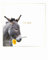 cityproducts - 7076 - Happy Memories, Postkarte, Esel, for you, 13cm x 10,5cm