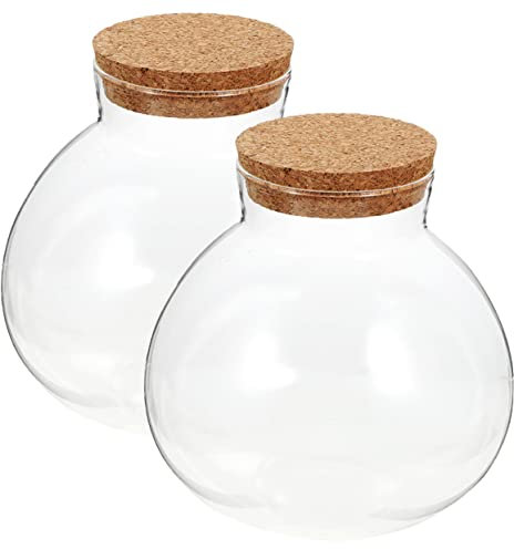 Yardwe 2piezas Eco Botellas De Vidrio Transparentes Selladas para Micro Paisajes con Tapón De Corcho Frascos Eco para Suculentas y Musgo Decoración Interior y DIY