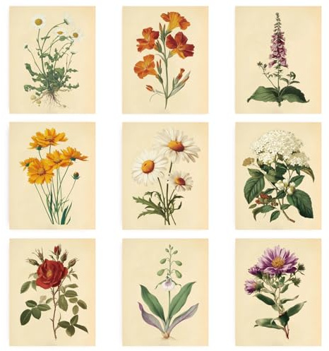 INFUNLY 9er Set Vintage Blumen Wandbilder Botanische Kunstdrucke 8×10 mit Gänseblümchen Rosen Dekor Ungerahmte Leinwandposter Ästhetische Wanddekoration für Wohnzimmer Schlafzimmer Küche
