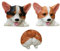 Gwill Cute 3D Funny Dog Butt Fridge Magnets Corgi Office Magnets Calendar Magnet Whiteboard Magnets Home Decoration (Set of 3)