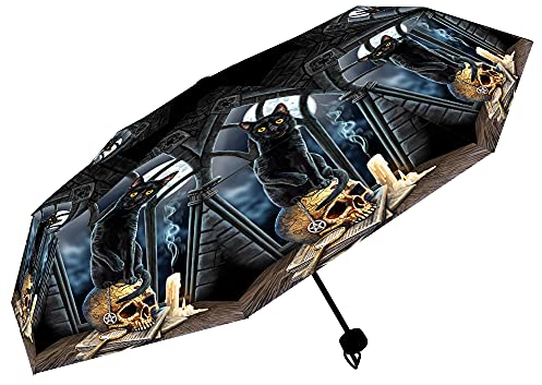 Nemesis Now Parapluie Spirits of Salem (LP), Noir, 55 cm