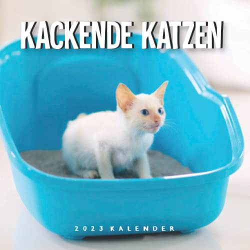 Kackende Katzen Kalender: Wandkalender 2023 - 8.5x8.5 inches - Geschenke für Familie und Freunde