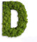 styleGREEN Piktogramm: Buchstabe D Islandmoos