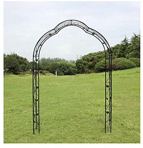 WFENG Wrought Iron Pergola Arbor,Wedding Garden Arch,Rose Flower Stand for Outdoor Climbing Frame,Yard Party Decoration/Black / W150cm×H250cm