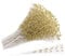 vepoty Pearl Beads Wire Stems 10pcs Gold Bridal Wedding Pearl Bouquet Artificial Pearl Stick Garland for Party Decoration