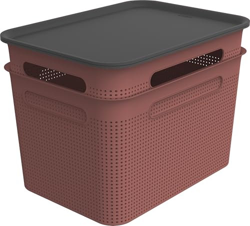 Rotho Brisen 2er-Set Aufbewahrungsbox 16l mit Deckel, Kunststoff (PP recycelt), 2 x 16 Liter, (36,5 x 26,5 x 21,4 cm) (Rot)