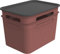 Rotho Brisen 2er-Set Aufbewahrungsbox 16l mit Deckel, Kunststoff (PP recycelt), 2 x 16 Liter, (36,5 x 26,5 x 21,4 cm) (Rot)