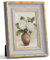 Afuly 10x15 Bilderrahmen Vintage Grau Gold Bilderrahmen Retro Antike Shabby Fotorahmen Deko für Wand Tisch Family Freund Hochzeit Geburtstag Geschenke Muttertage für Mama Oma