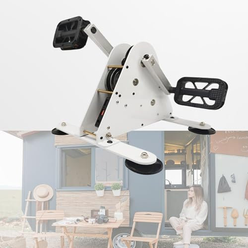 WHYYDSS Generador de energía a Pedal, generadores de energía portátiles a manivela, Cargador de generador de Bicicleta, generador de energía a Pedal de Emergencia Manual de 50 W/100 W,100W