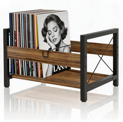 GHWMYD Soporte Vinilos Almacenamiento 100+ Vinyl con Abrazadera Separadora