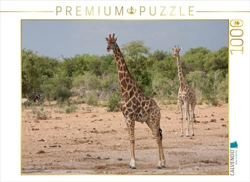 CALVENDO Puzzle Giraffen im Etosha Nationalpark | 1000 Teile Lege-Größe 64 x 48 cm Foto-Puzzle für glückliche Stunden