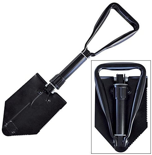 CARP SPIRIT 34CSACS070019