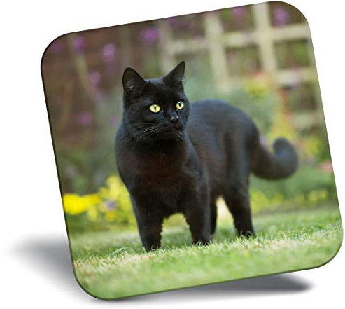 Destination Vinyl ltd Fridge Magnet - Hunting Black Cat Kitten Pet 2604