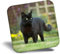 Destination Vinyl ltd Fridge Magnet - Hunting Black Cat Kitten Pet 2604