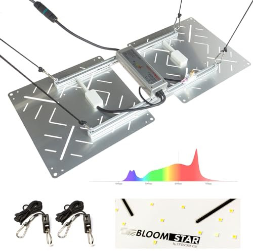 Bloomstar by Crescience Wingman 600 Grow Lampe mit Samsung LED, MeanWell Driver, dimmbare Vollspektrum Pflanzenlampe Grow Light für Indoor Anbau Netherlands Amsterdam Houses