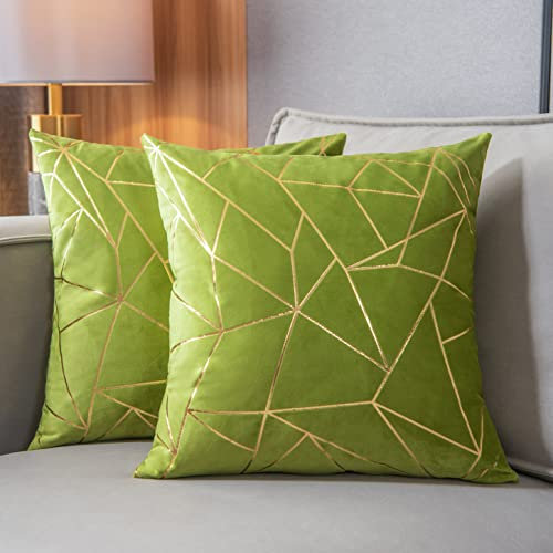 YONGLIU Kissenbezüge aus Samt, dekorativ, 2 Packungen, ultraweich, limettenfarben, Kissenbezüge für Weihnachten, Sofa, Schlafzimmer, Auto, Wohnzimmer (Apfelgrün, 50,8 x 50,8 cm)
