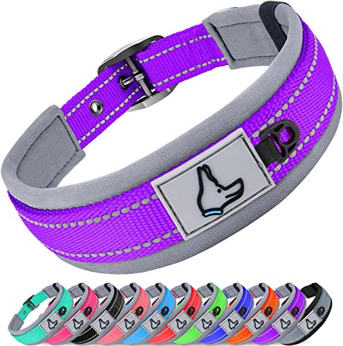 Joytale Halsband Hund, Weich Hundehalsband Gepolstert Neopren Hunde Halsband für Mittelgroße Hunde, Nylon Reflektierend Breit Halsbänder, Lila