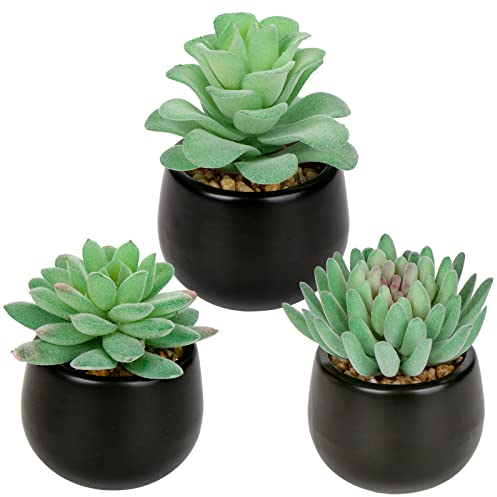 Hollyone 3 pcs Fake Succulent Plants Artificial Succulents in Black Ceramic Pots, Faux Flocking Succulents for Room Home Bathroom Bedroom Office Kitchen Living Room Desk Decoration