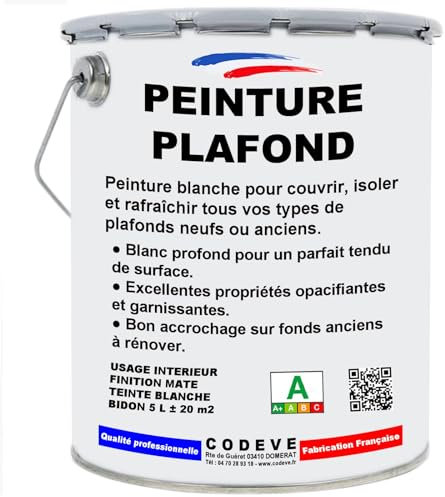 Peinture Plafond - Codeve Bois/Ral 9010 - Blanc Pur - 5 L - Intérieur - Intérieure Blanche Mat Pour La Décoration D'un Plafond Neuf, Ancien Ou Peint.