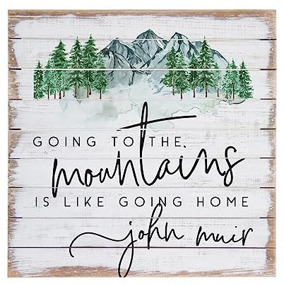 Cartello in legno con scritta Going to the Mountains is going Home (lingua italiana non garantita) – Decorazione da parete in legno rustico – Montagne – Decorazione da montagna – Targa in legno 20,3