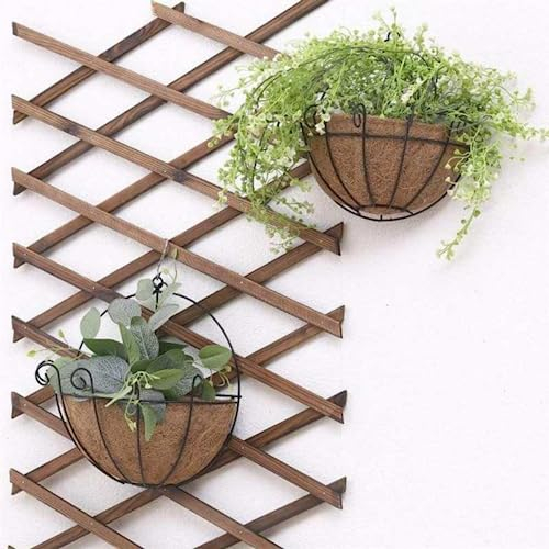 Wankd Blumenampel Kokos, 1 Stück Klassische Blumenampel, 10inch, Blumenampel, Hängekörbe, Wandhaken, Pflanzenhalter, Wandhalterung