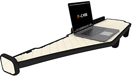 F-CORE Tablettes Tableau de Bord Camion compatibilité pour Mercedes ACTROS MP 4 01.11-12.18 Double Cabine 250cm Panneau LED 24V Champagne