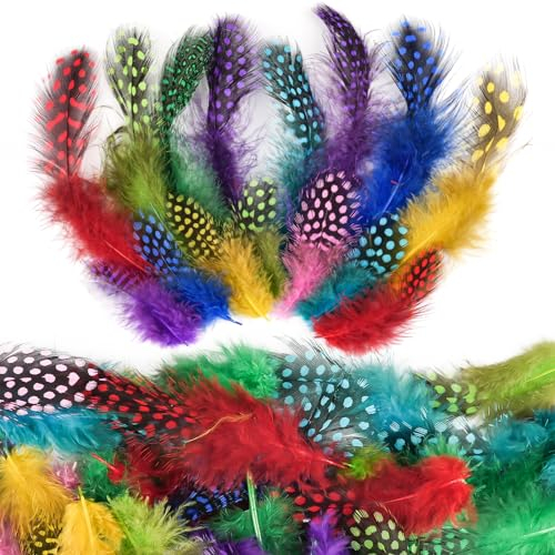 Federn zum Basteln, 300 Stück Bunte Federn basteln, Perlhuhn Bastelfedern Bunt, Natürliche Federn Deko für DIY Ostern Karneval Weihnachten Maske Hut Traumfänger