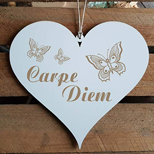 Schild Herz « CARPE DIEM » ca. 13 x 12 cm - mit Motiv SCHMETTERLINGE - Türschild Dekoschild Geschenk - Spruch Lebensmotto Motto