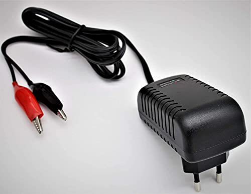 Caricabatterie a Carica di Piombo al Piombo 12V SLA/Mantenitore Automatico Portatile Galleggiante Intelligente per Auto a Motore Motocicletta per Barca a Motore SLA ATV AGM Gel Pb Cell